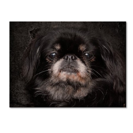 Jai Johnson 'Black Pekingese Portrait' Canvas Art,14x19